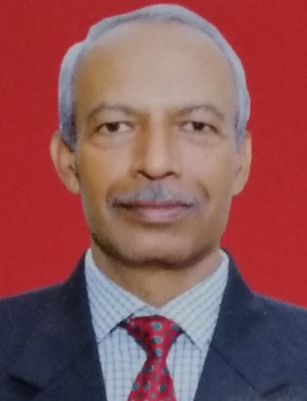 RAJANKUMAR SADASHIVRAO BICHKAR